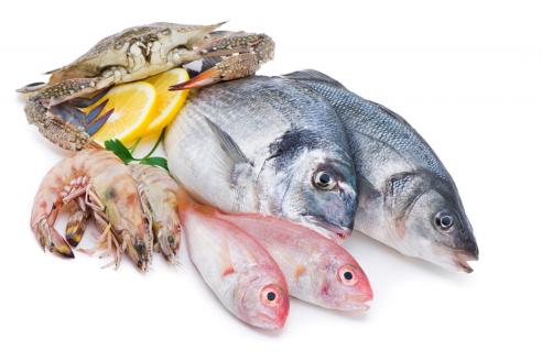 рыба, морепродукты