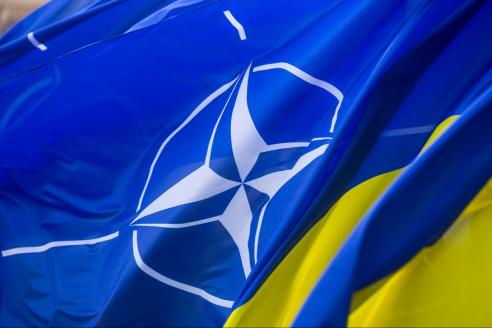 Украина НАТО флаг