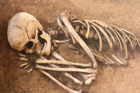 кости, фото из открытых источников