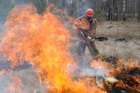 пожар в лесу, фото из открытых источников