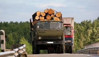 грузовик с древесиной, фото из открытых источников