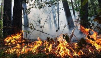 Пожарная опасность в Днепропетровской области