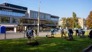 Вже 170 дерев висадили в місті слухачі «Університету третього віку» в рамках програми озеленення та декадника #Дніпро_квітучий
