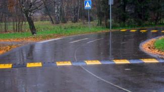 В Украине появятся новые стандарты обеспечения безопасности пешеходов