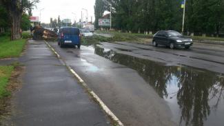 фото https://vk.com/pavlogradgorod, дерево упало на авто