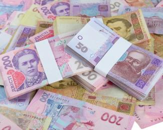 Директор предприятия Днепропетровщины украла у государства 5,4 млн грн