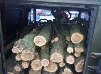 фото УПД ГУНП, древесина в грузовике