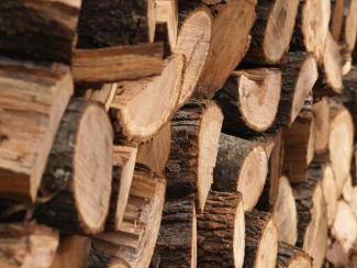 древесина, фото ГУНП