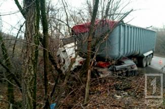 фото http://1tv.kr.ua, ДТП грузовик врезался в дерево
