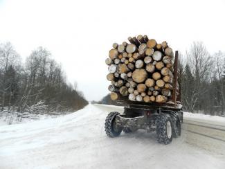 грузовик с дровами, фото из открытых источников
