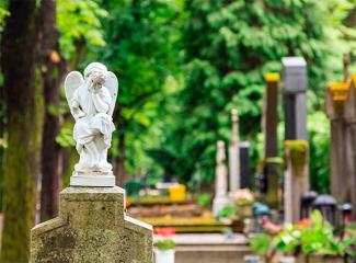 На Днепропетровщине мужчина на кладбище цинично ограбил пенсионерку