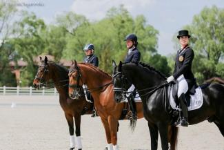 фото http://vesti.dp.ua, конный спорт