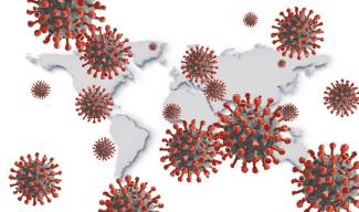 COVID-19: вычислен главный способ передачи коронавируса по миру