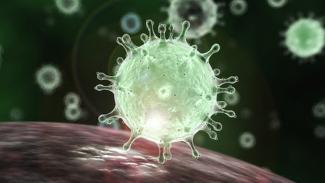 COVID-19: найдено вещество, полностью нейтрализующее коронавирус
