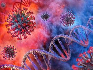Найдены новые очаги размножения коронавируса в теле человека