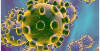 Коронавирус: развенчан популярный миф о передаче инфекции