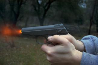 пистолет в руке, фото http://img.anews.com