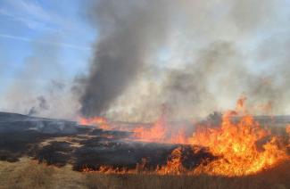 поле горит, фото из открытых источников
