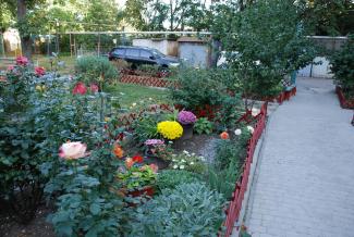 Дніпро-квітучий: містяни готуються до участі в комплексній програмі озеленення
