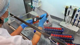 В Украину привезут експерес-тесты для выявления коронавируса дома