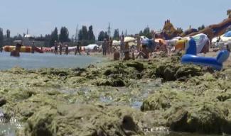Море в Одессе превратилось в болото