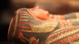 Как выглядели древние египтяне: ученые реконструировали лица мумий