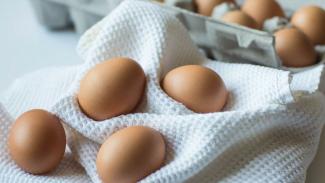 Как узнать свежесть яйца: самый простой способ