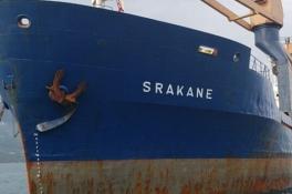 В Украину вернулись 12 моряков после года изоляции в Бразилии