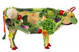Чем заменить мясо: основы здорового питания