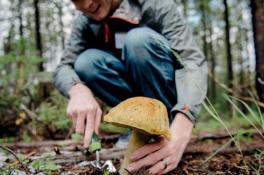 Смертельное отравление грибами на Днепропетровщине