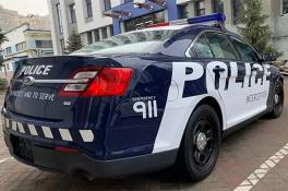  Ford Police Interceptor