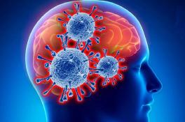 Как коронавирус влияет на мозг человека: новое исследование