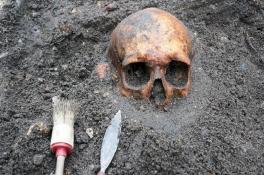 Под Днепром в поле обнаружили человеческие останки