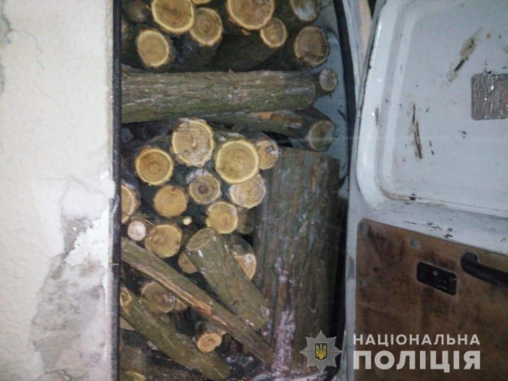 В Никопольском районе активизировались лесорубы