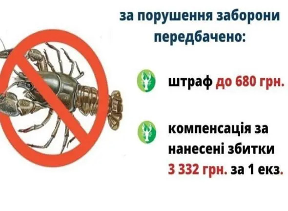 и