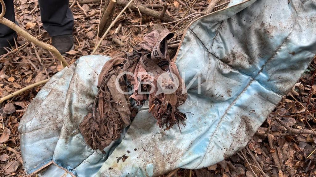 В Кривом Роге возле училища обнаружили человеческие останки