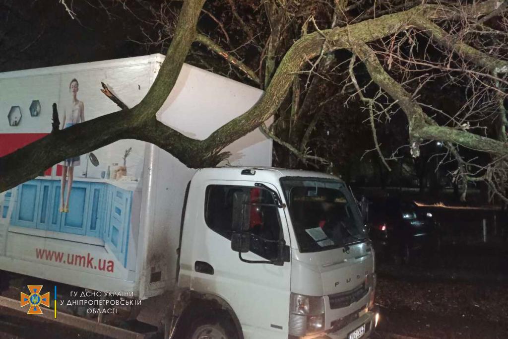 В Кривом Роге на грузовик упало 10-метровое дерево