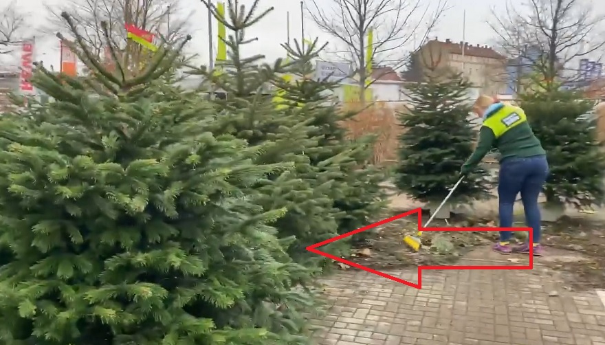 Лысенко рассказал, сколько стоят елки в Германии: дороже, чем в Днепре