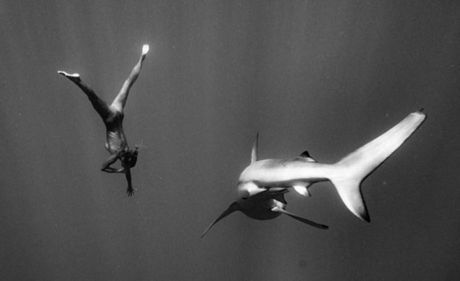 Мариса Пепен обнаженная с акулами