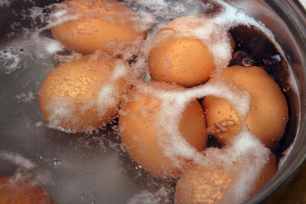 Как правильно варить яйца: советы кулинаров