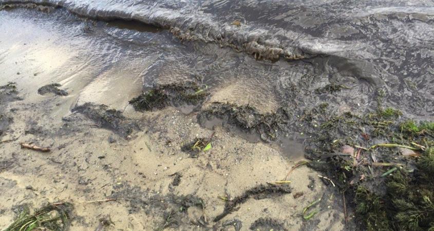 Вода темнеет. Днепр грязная вода. Вода в Днепре. Потемневшая вода. Грязная вода из Днепра.