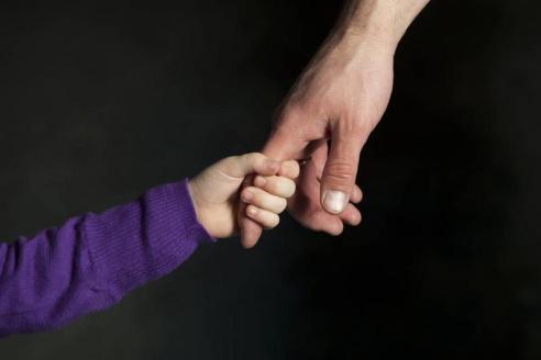 создали патронатную семью