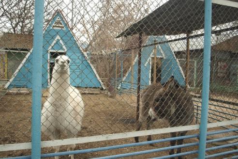 зоопарк