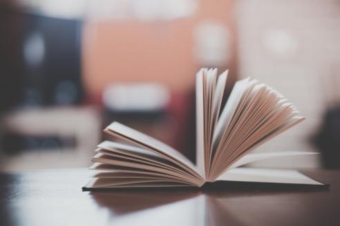 презентация книги в Днепре