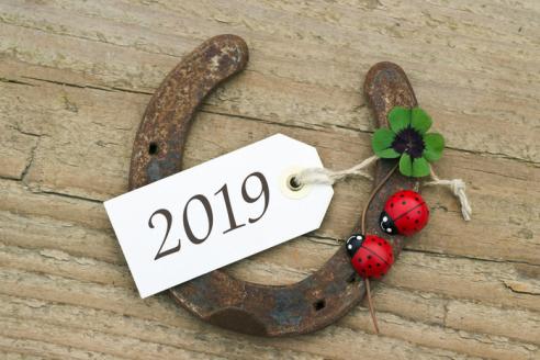 2019 год