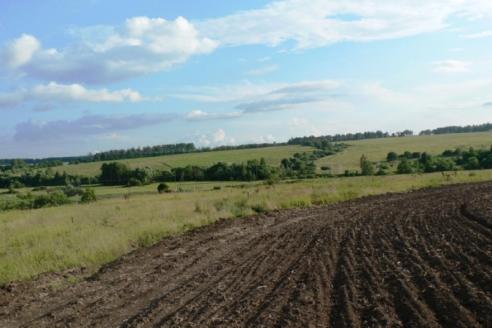 Опасная находка в Чернобыле