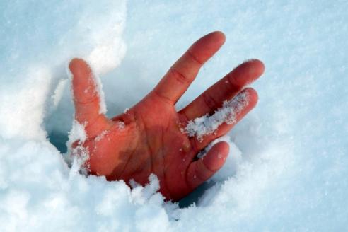 рука в снегу, фото из открытых источников
