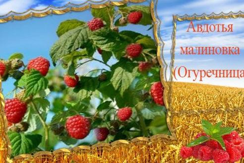 Авдотья Малиновка