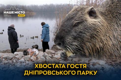 а