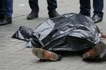 В Кривом Роге нашли труп мужчины с разбитой головой